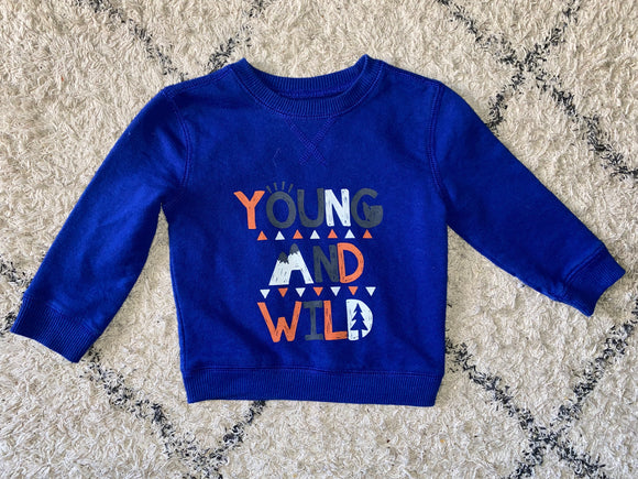 Young and Wild Pullover, 12M