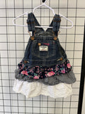 Oshkosh Tiered Skirted Overalls, 24M