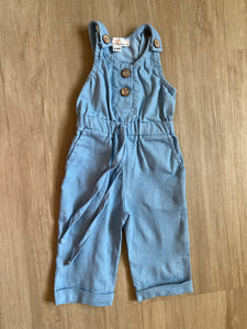 Bailey's Blossms Denim Overalls, 3-6M