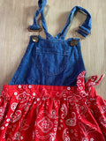 Paisley Dress Overalls, 4T