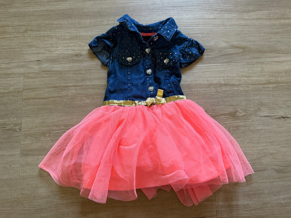 Girl's Rule! Tulle Dress, 12M