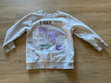 H&M T-Rex Pullover, 3/4T