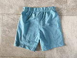 Dinosaur Shorts, 5T