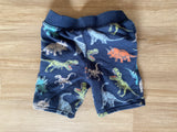 Garanimals Dino Cotton Shorts, 4T