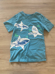 Carter's Shark Tee, 7