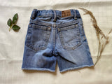 Blue Gap Shorts 2T