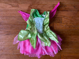 Fairy Costume, 2-4 Years