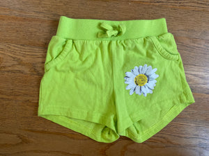 Daisy Shorts, 4