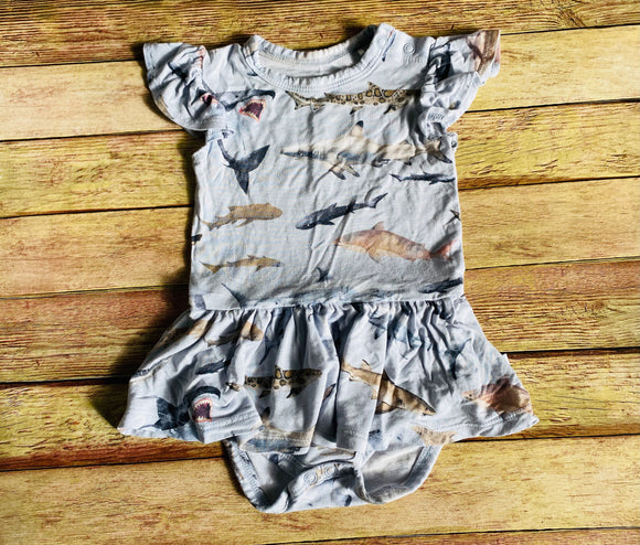 Posh Peanut Shark Romper, 3-6M