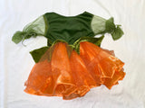 Fairy Princess Costume, 2T