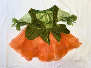 Fairy Princess Costume, 2T